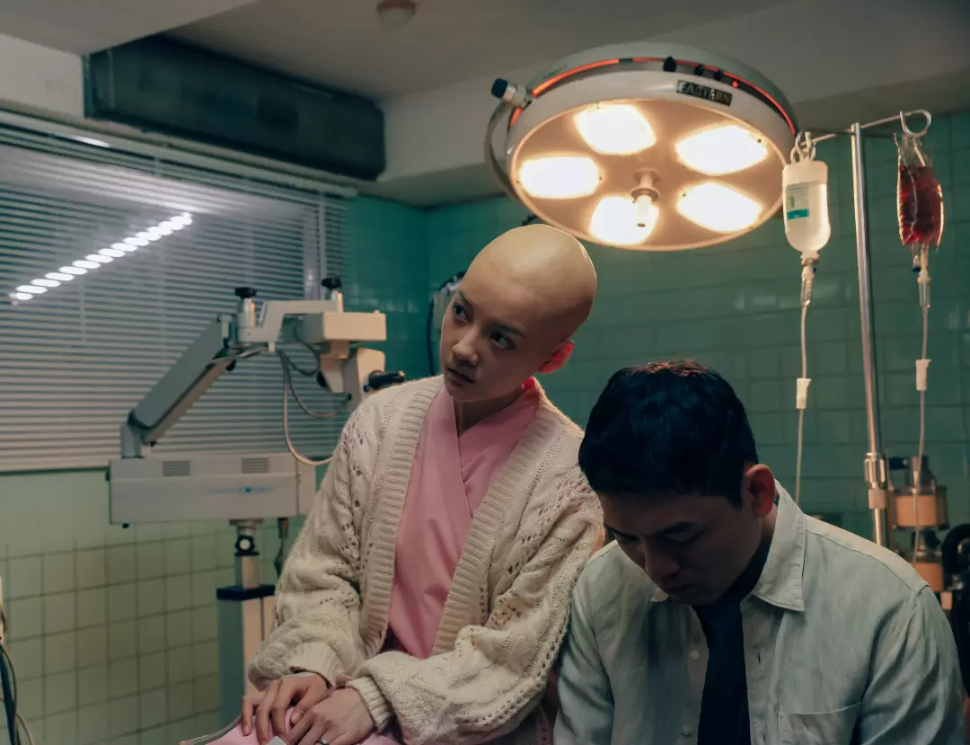 所有人都在死-圖片